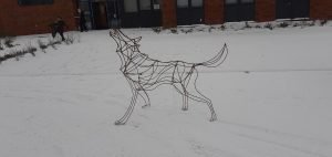 Giant Wolf in snow
