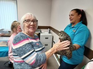 Shotton Community Hub - Animals